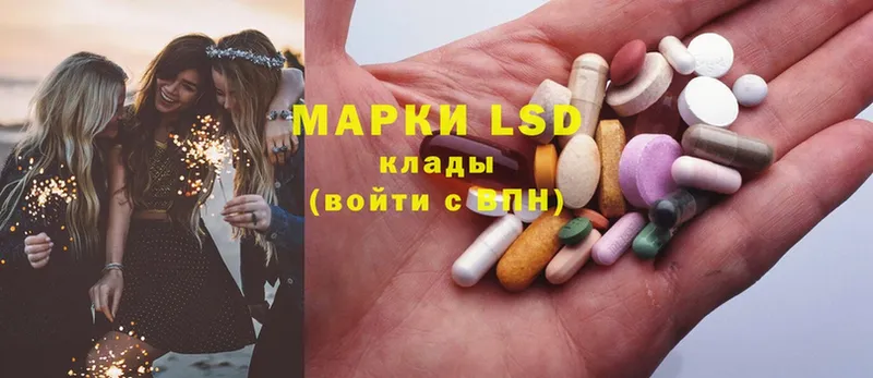 ЛСД экстази ecstasy  наркота  Бердск 